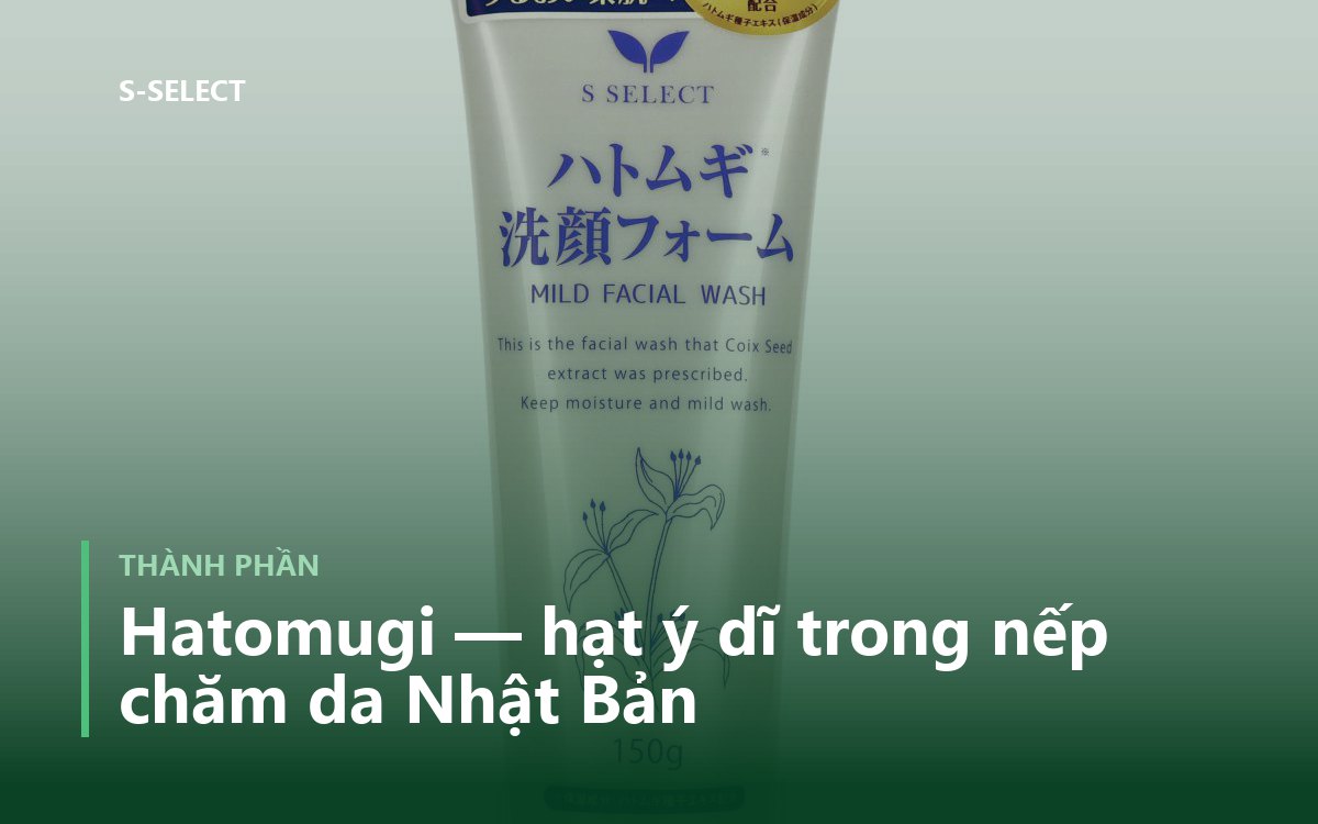 Hatomugi — hạt ý dĩ trong nếp chăm da Nhật Bản
